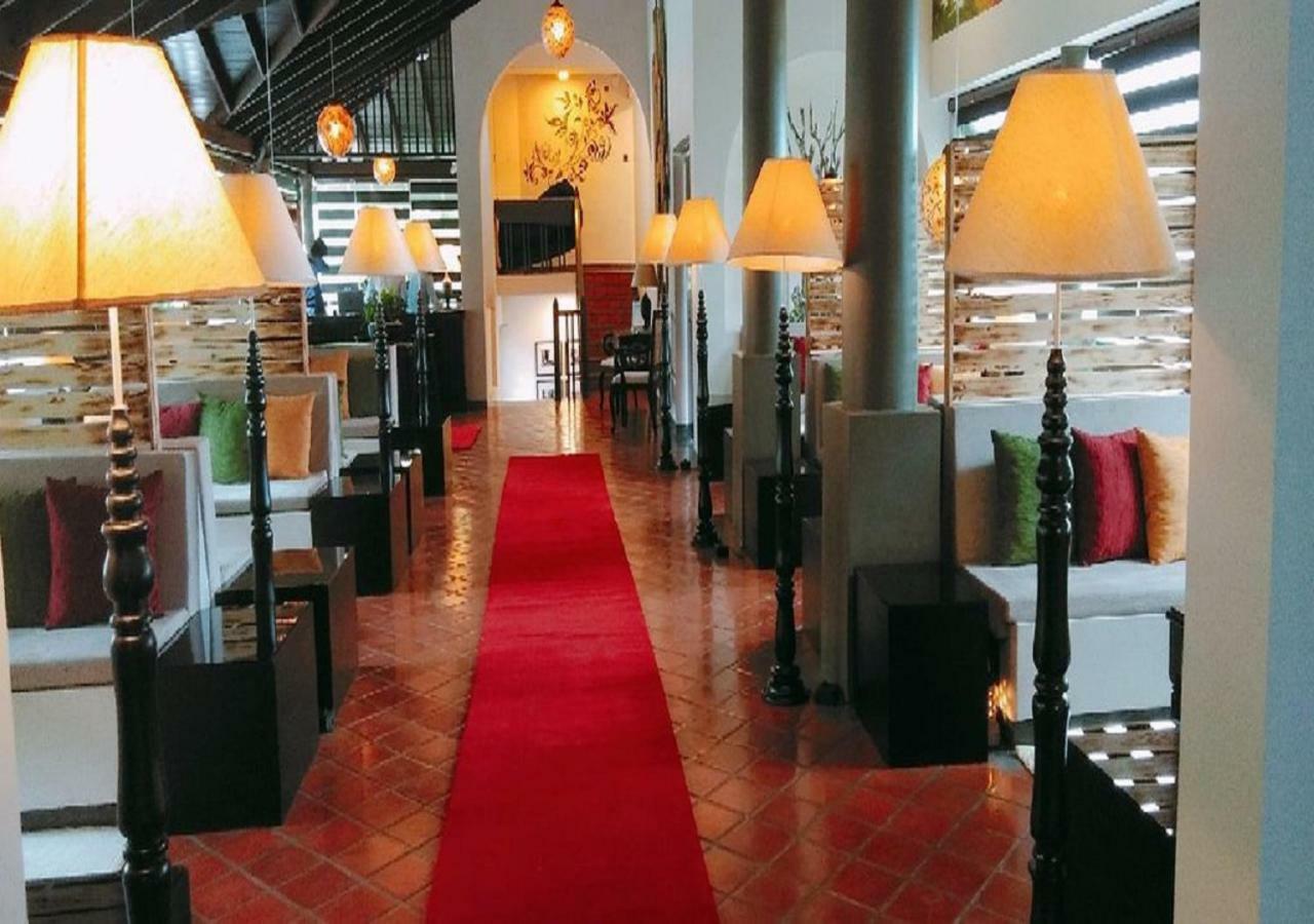 Ekho Ella Hotel Ngoại thất bức ảnh